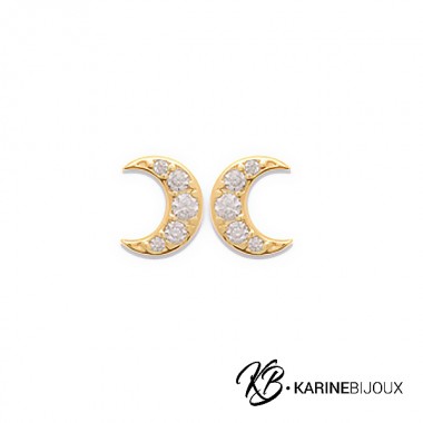 Puces d'oreilles Kelly...