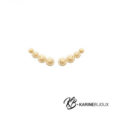 Boucles lobes d'oreilles...