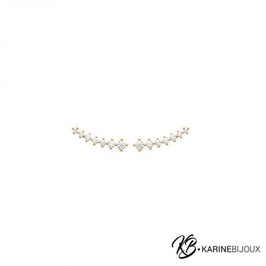 Boucles d'Oreilles...